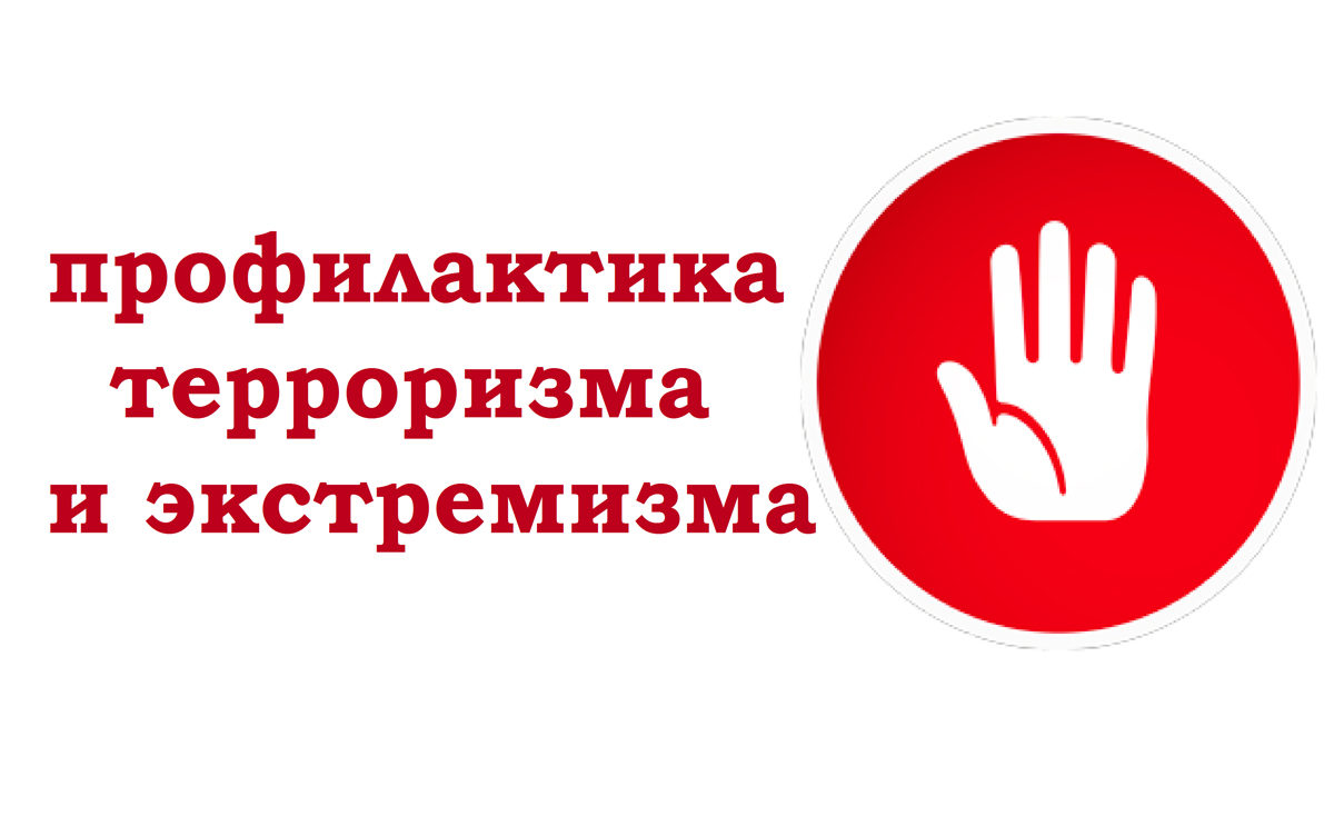 Профилактика экстремизма и терроризма в молодежной среде.